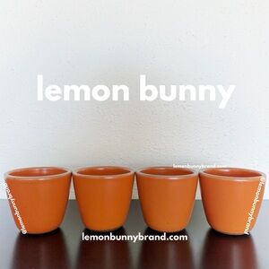 🍊🧡 4 East Fork Kulhads in Daylily Bright Vibrant Orange Brand New NWT